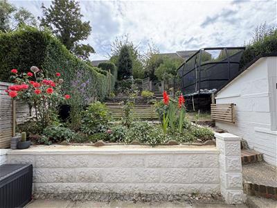 Picture 19